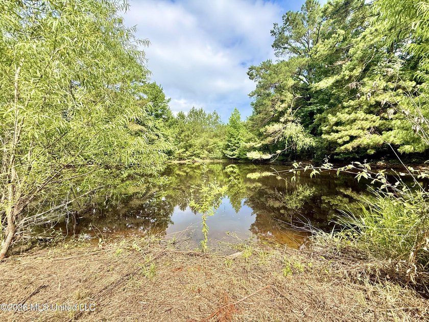 Enjoy peaceful country living on 5.4+/- acres with this spacious - photo 14