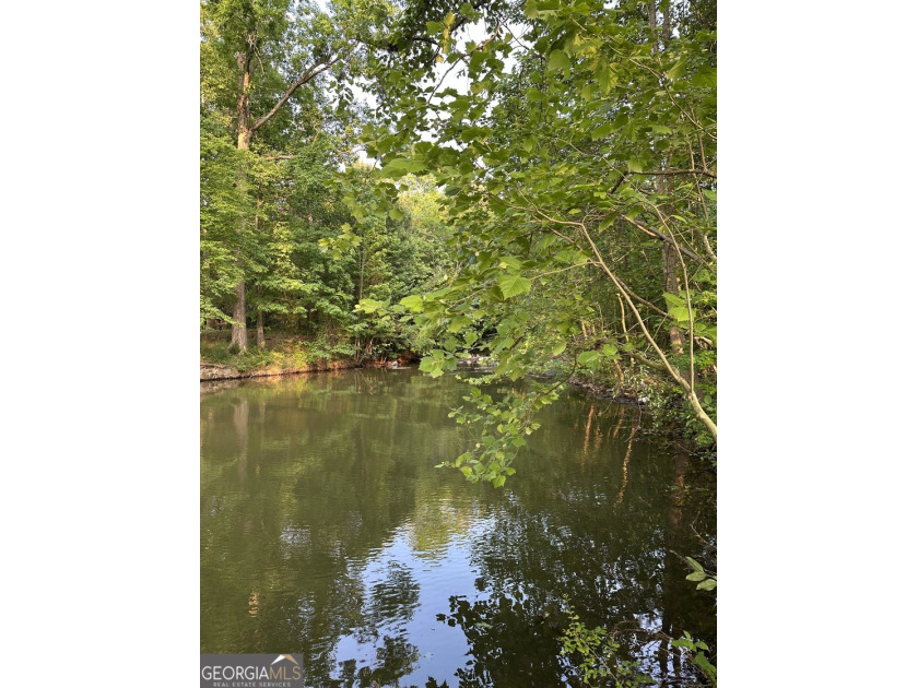 Build your dream getaway in Cherokee Falls near Weiss Lake! This - photo 4