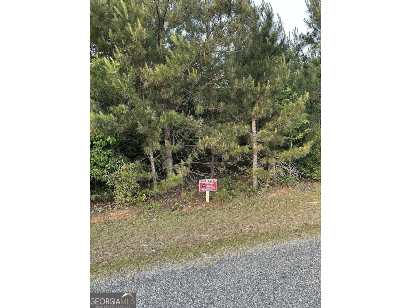 Build your dream getaway in Cherokee Falls near Weiss Lake! This - photo 5