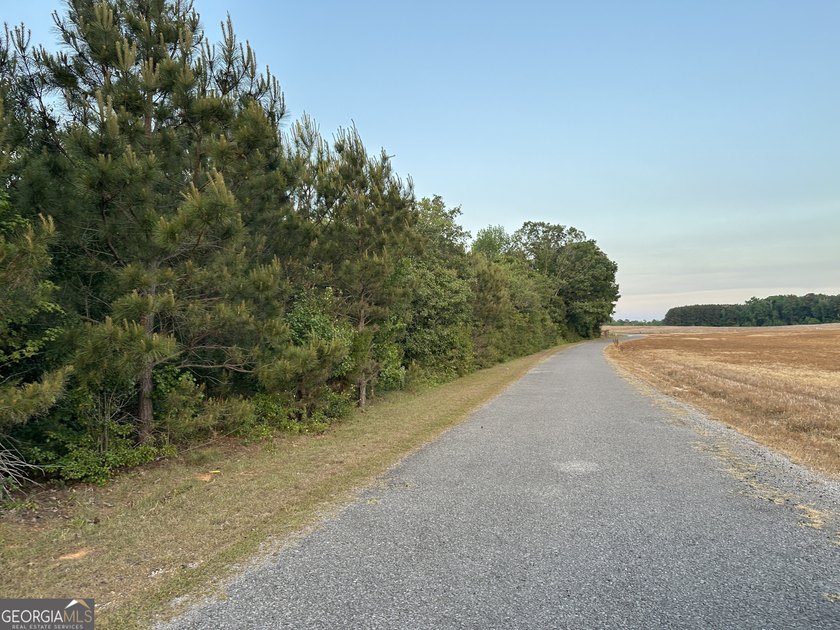 Build your dream getaway in Cherokee Falls near Weiss Lake! This - photo 8