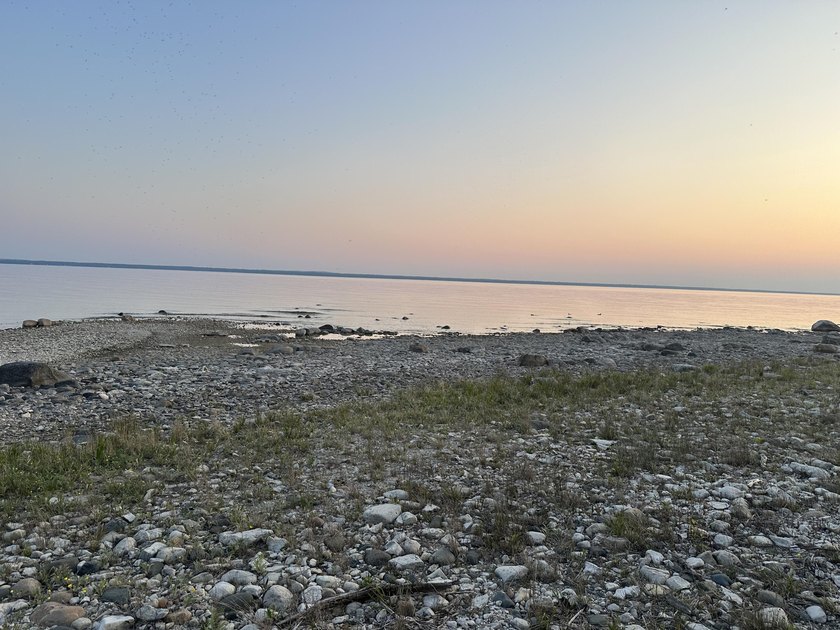 Secluded 2.40acre lot and 424.40 of waterfront on Lake Huron - photo 16