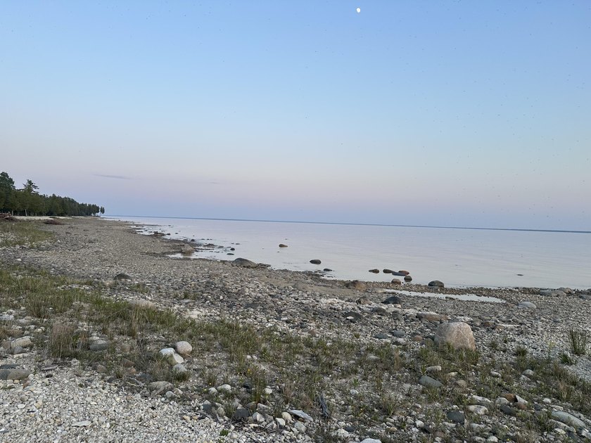 Secluded 2.40acre lot and 424.40 of waterfront on Lake Huron - photo 17
