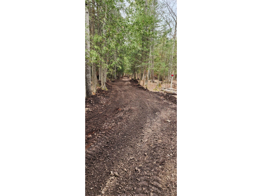 Secluded 2.40acre lot and 424.40 of waterfront on Lake Huron - photo 27