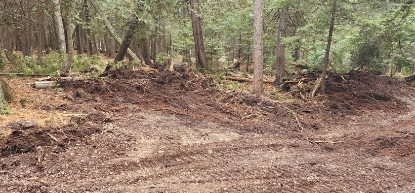 Secluded 2.40acre lot and 424.40 of waterfront on Lake Huron - photo 29