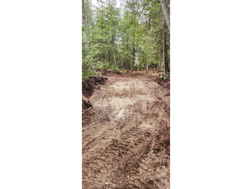 Secluded 2.40acre lot and 424.40 of waterfront on Lake Huron - photo 33