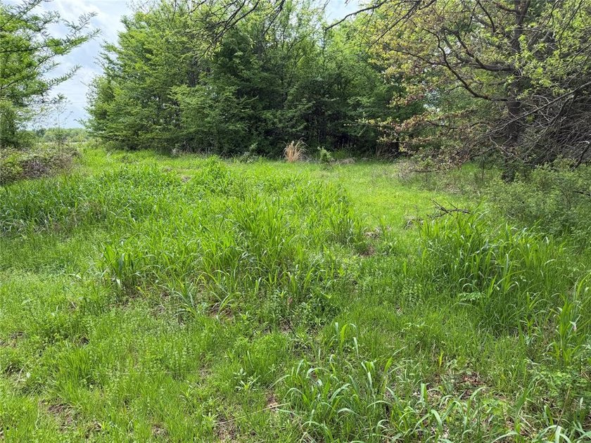 If you're looking for a turnkey hunting property, this 40-acre - photo 13