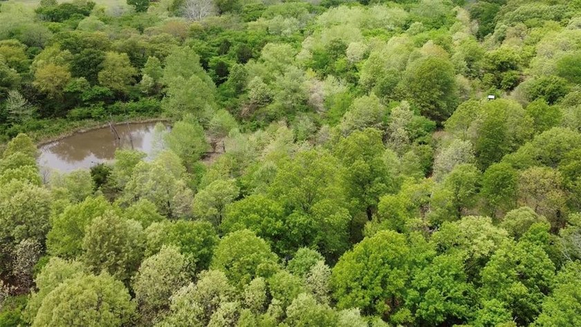 If you're looking for a turnkey hunting property, this 40-acre - photo 14