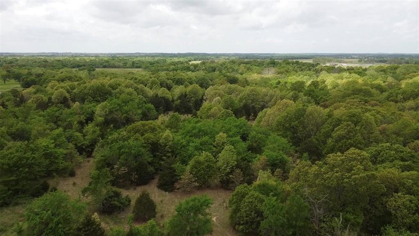 If you're looking for a turnkey hunting property, this 40-acre - photo 17