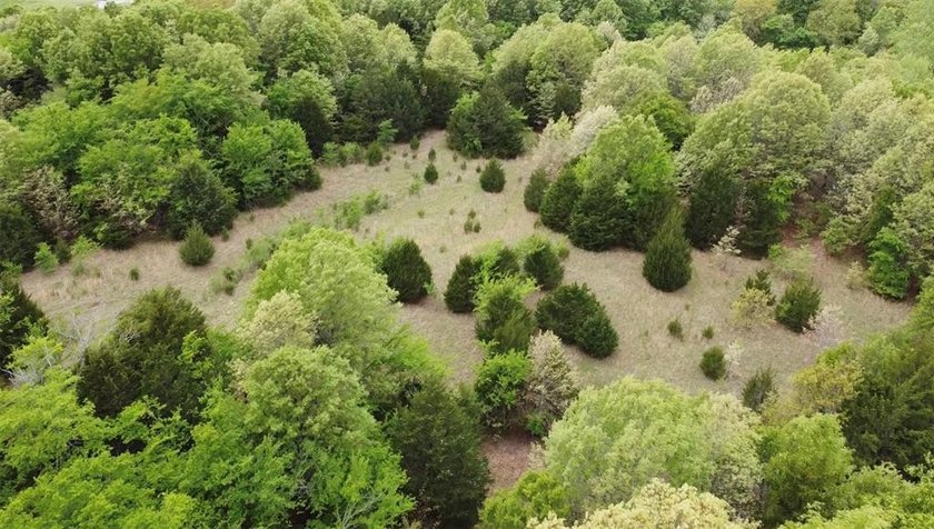 If you're looking for a turnkey hunting property, this 40-acre - photo 18