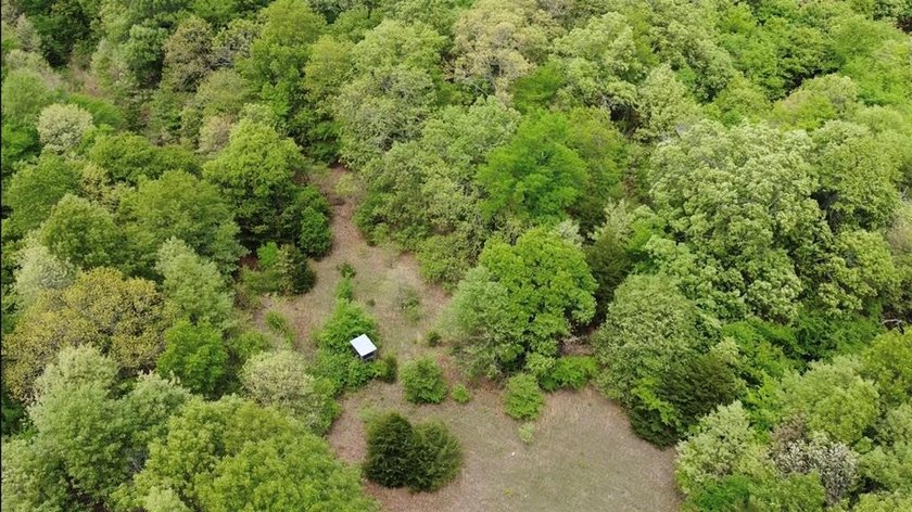 If you're looking for a turnkey hunting property, this 40-acre - photo 19