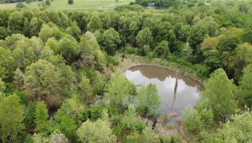 If you're looking for a turnkey hunting property, this 40-acre - photo 22