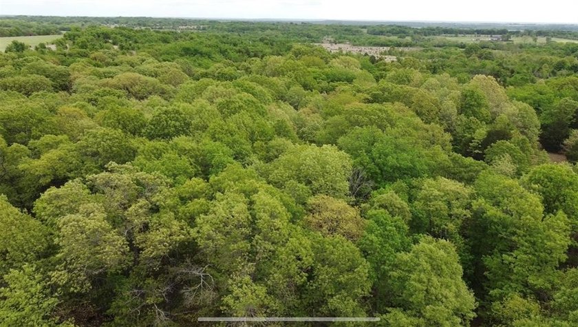 If you're looking for a turnkey hunting property, this 40-acre - photo 24