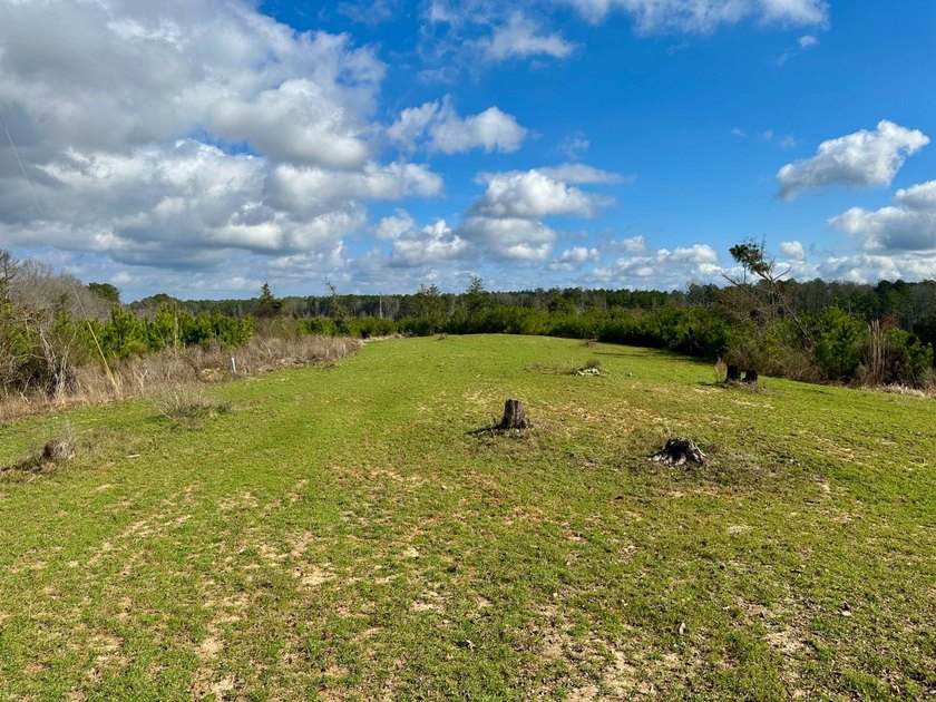 Situated just over six miles southwest of Pachuta, this land is - photo 10