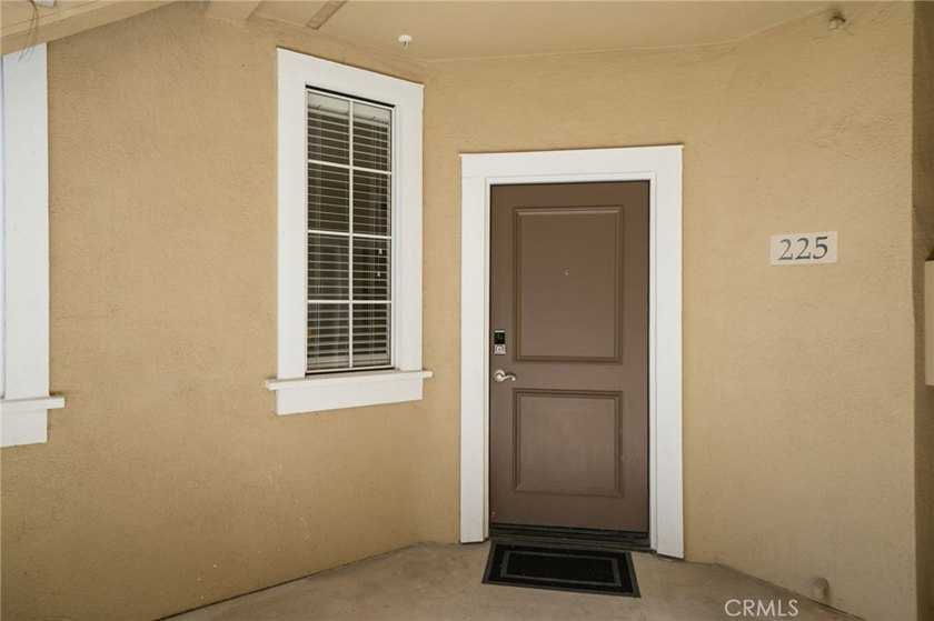 225 Gallery - photo 21