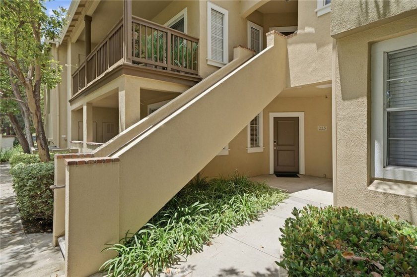 225 Gallery - photo 22