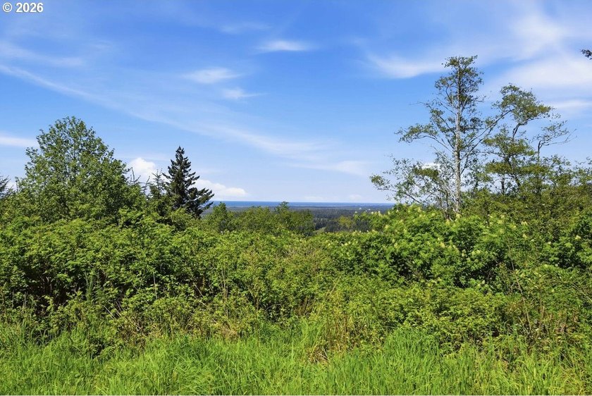 Gorgeous Ocean and Mountain Views from this beautiful 2.6 acres - photo 4