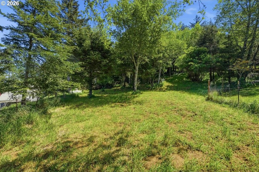 Gorgeous Ocean and Mountain Views from this beautiful 2.6 acres - photo 5