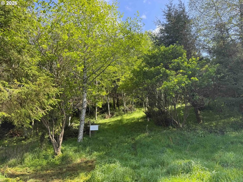 Gorgeous Ocean and Mountain Views from this beautiful 2.6 acres - photo 7