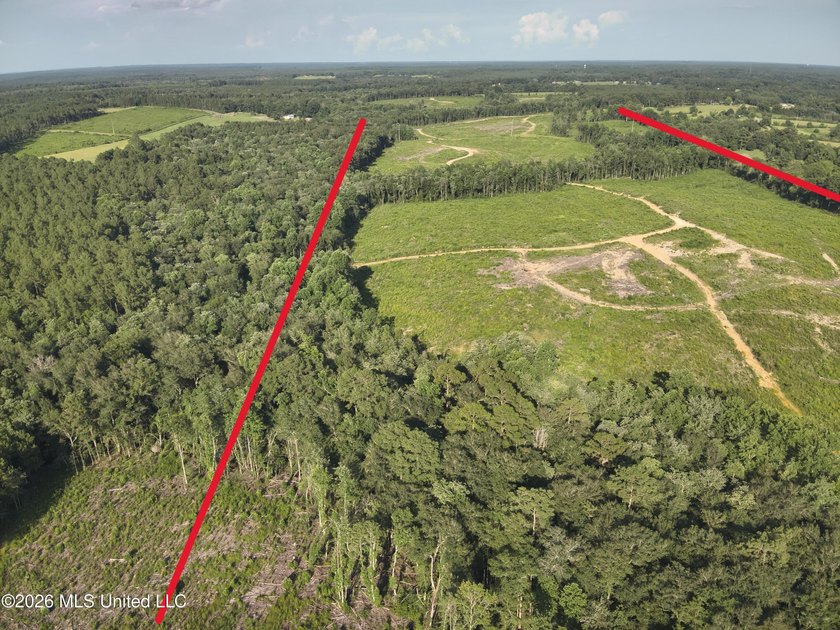 Here's your chance to own a sizeable piece of South Mississippi - photo 13