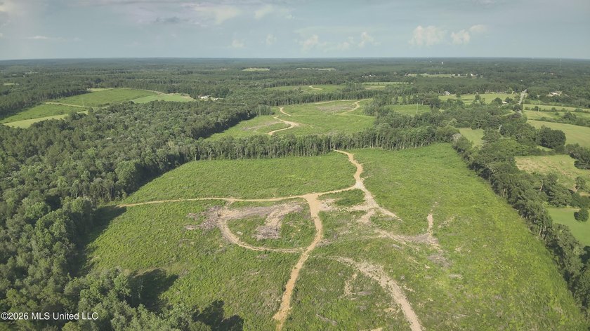 Here's your chance to own a sizeable piece of South Mississippi - photo 15