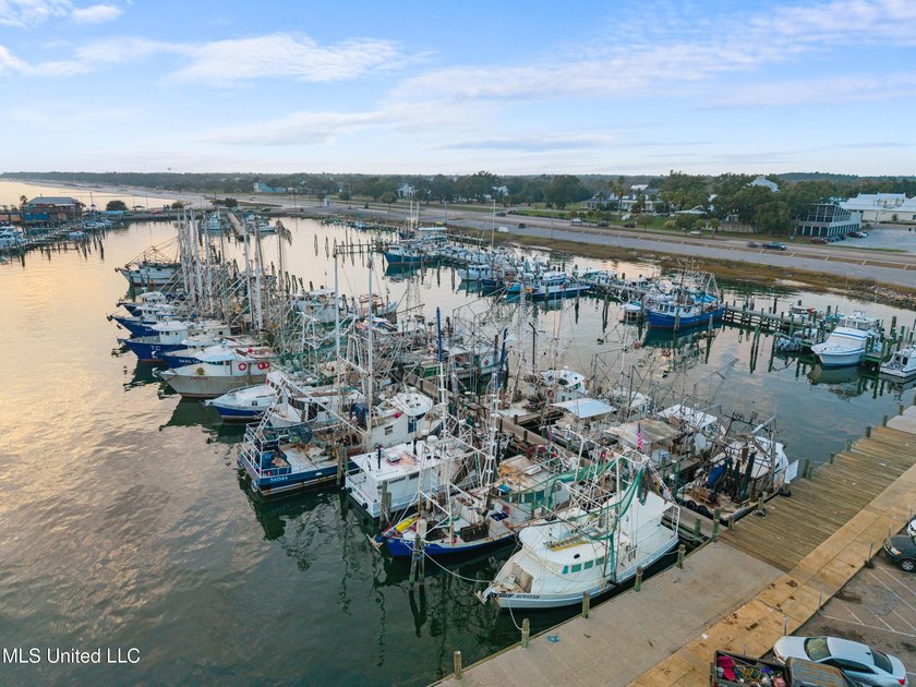 Build your coastal dream in Trinity Park Subdivision. Just steps - photo 17