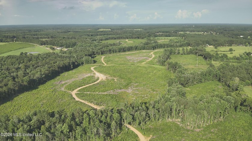 Here's your chance to own a sizeable piece of South Mississippi - photo 17