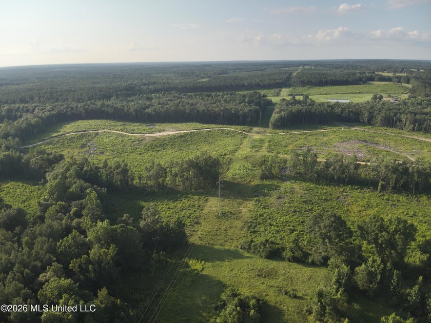 Here's your chance to own a sizeable piece of South Mississippi - photo 20