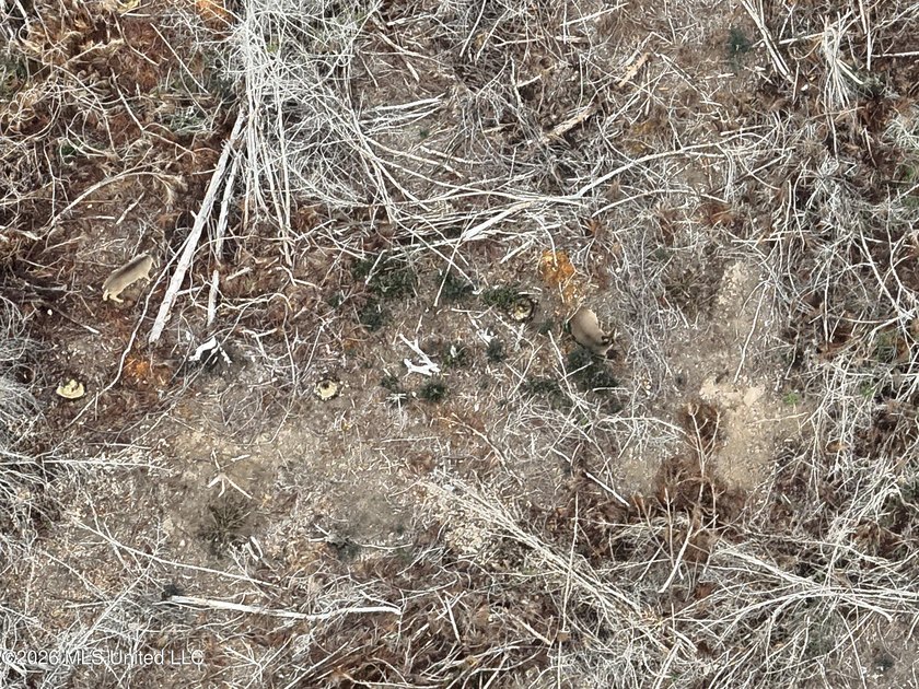 Here's your chance to own a sizeable piece of South Mississippi - photo 23