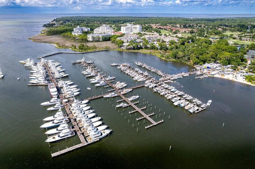 PRICE POSITIONED IN SANDESTIN! This iconic, single-level Florida - photo 28