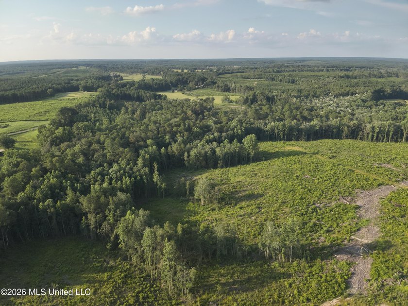 If you've been looking for a place to build, hunt, and enjoy - photo 21