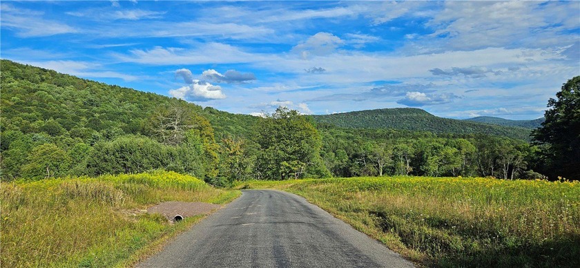 94 ACRES WITH PANORAMIC VIEWS, PRIVACY AND WATER: This - photo 2