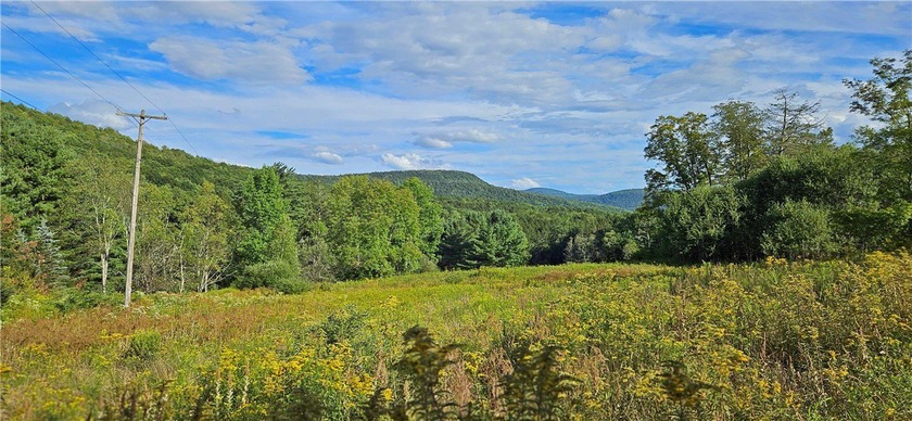 94 ACRES WITH PANORAMIC VIEWS, PRIVACY AND WATER: This - photo 5