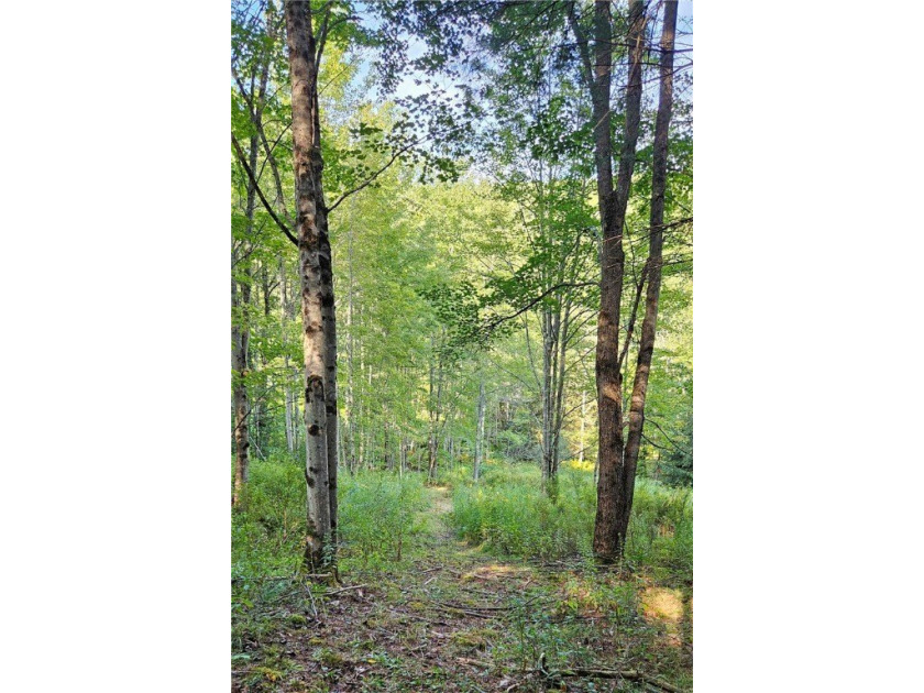 94 ACRES WITH PANORAMIC VIEWS, PRIVACY AND WATER: This - photo 6
