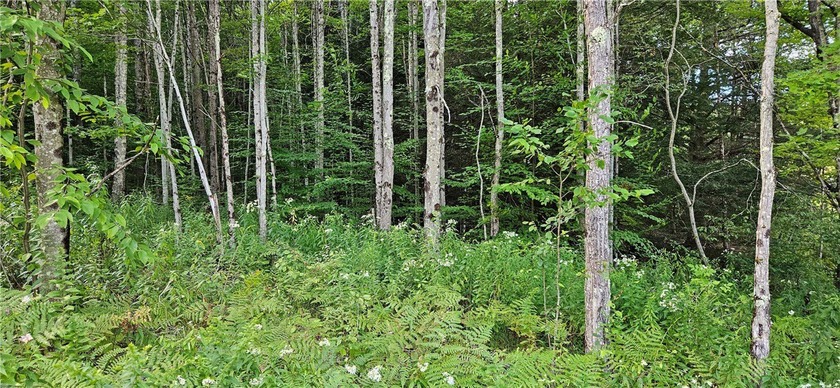 94 ACRES WITH PANORAMIC VIEWS, PRIVACY AND WATER: This - photo 7