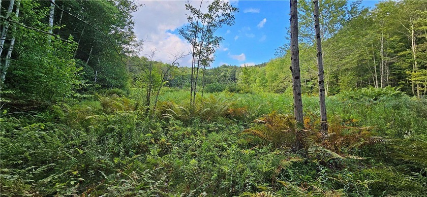 94 ACRES WITH PANORAMIC VIEWS, PRIVACY AND WATER: This - photo 8