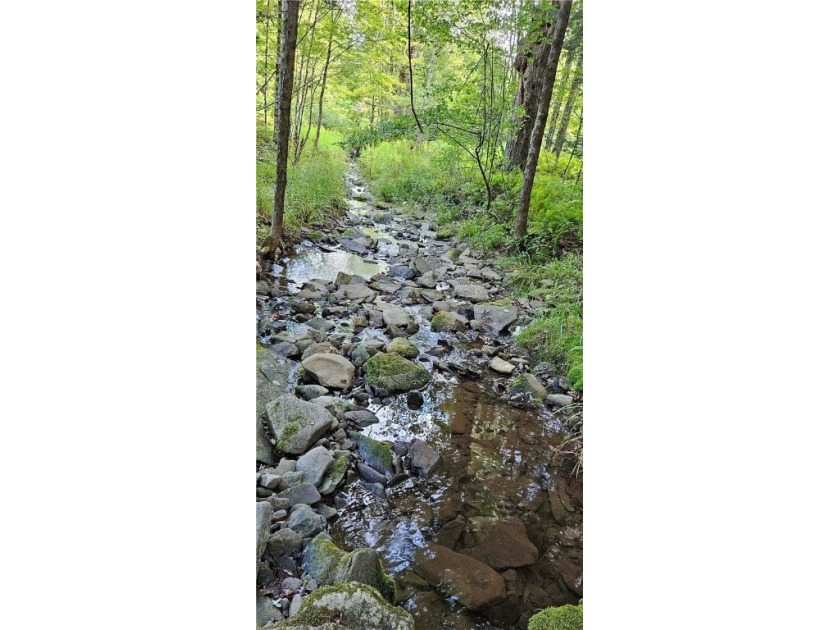 94 ACRES WITH PANORAMIC VIEWS, PRIVACY AND WATER: This - photo 9