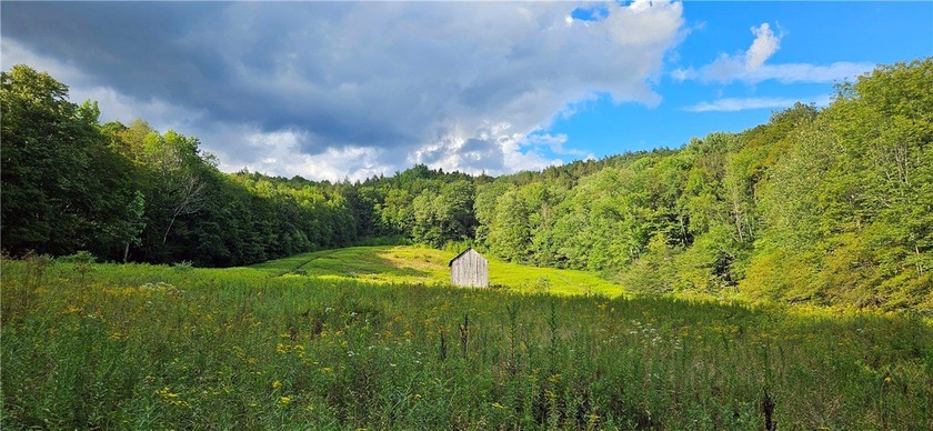 94 ACRES WITH PANORAMIC VIEWS, PRIVACY AND WATER: This - photo 10