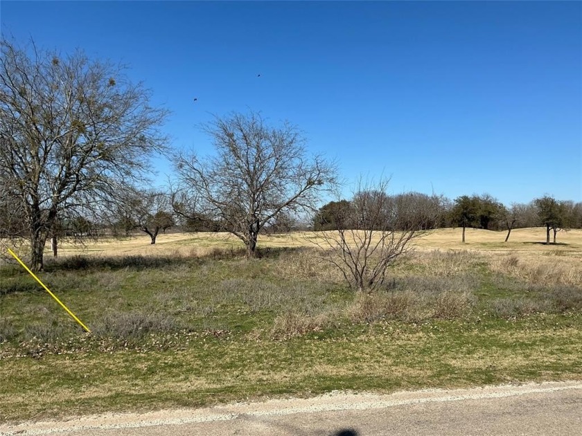 Like to play golf...White Bluff has two beautiful golf courses - photo 2