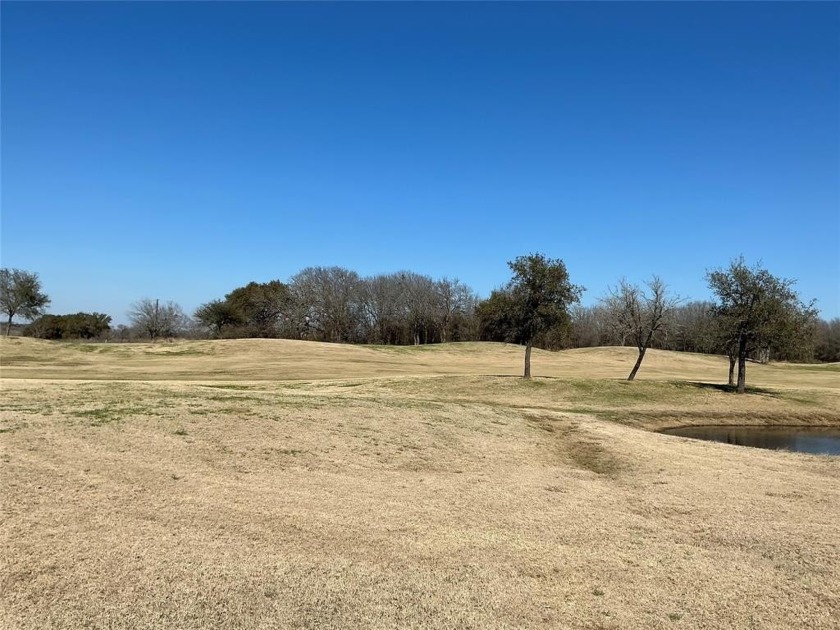 Like to play golf...White Bluff has two beautiful golf courses - photo 9