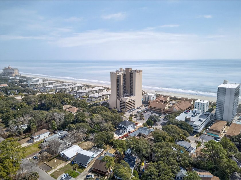 Enjoy spectacular ocean views from this updated, fully furnished - photo 46