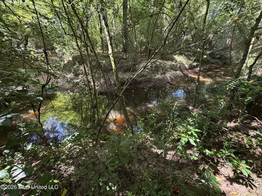 40+/- Acres - Topisaw Creek Recreational Tract Southwest - photo 22