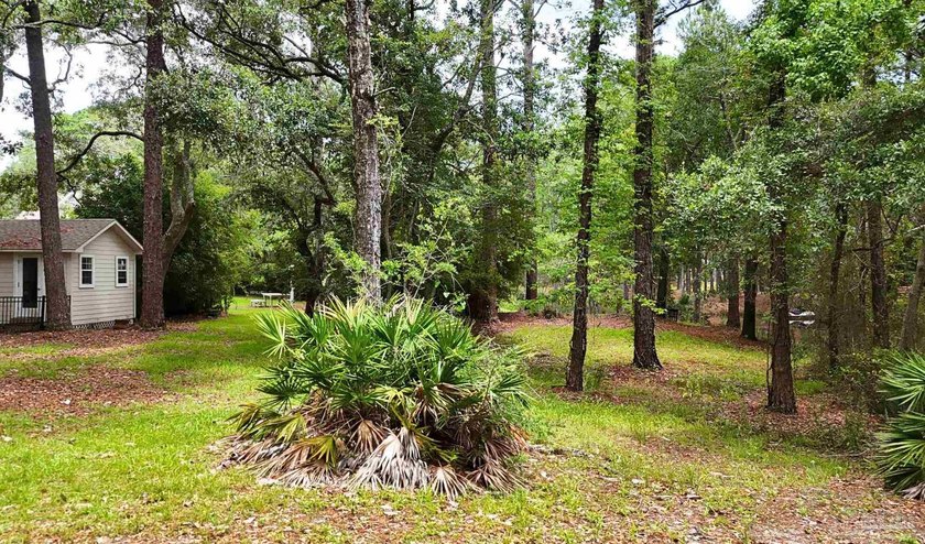 Embrace the true coastal lifestyle at this rare Gulf Shores home - photo 31