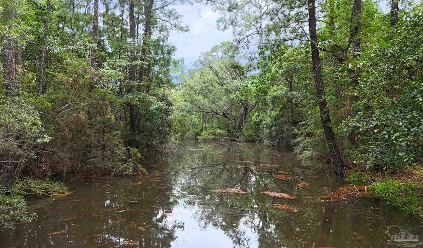 Embrace the true coastal lifestyle at this rare Gulf Shores home - photo 34