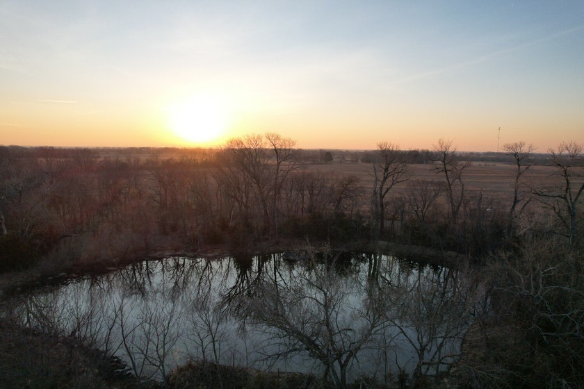 This is sneaky thick hunting property loaded with great habitat - photo 3