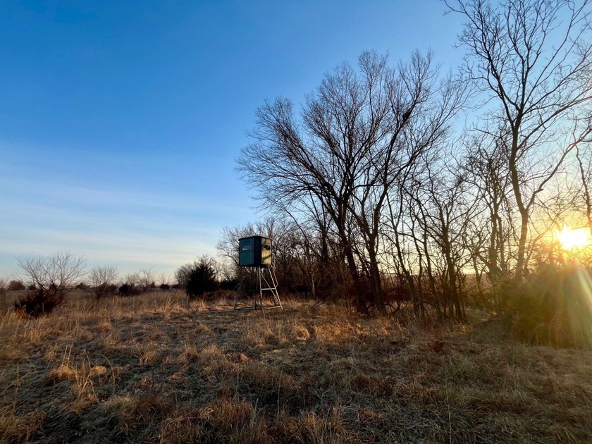 This is sneaky thick hunting property loaded with great habitat - photo 7