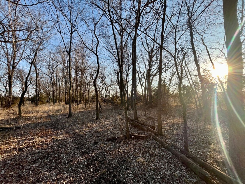This is sneaky thick hunting property loaded with great habitat - photo 8