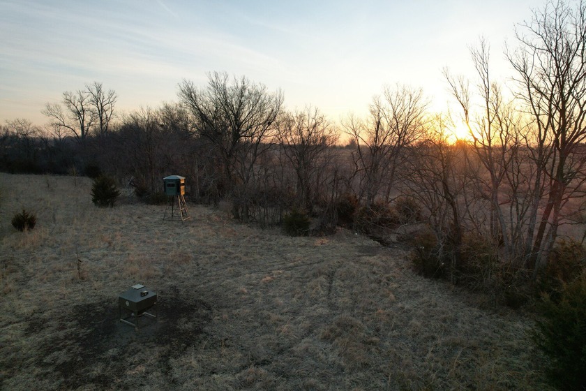 This is sneaky thick hunting property loaded with great habitat - photo 9