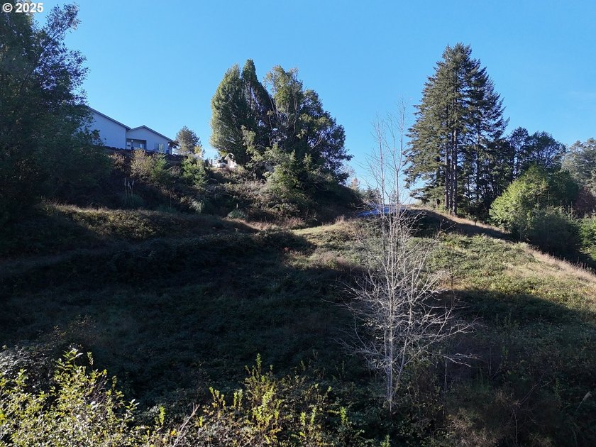 Build your dream home on this beautiful 1.83-acre parcel located - photo 9