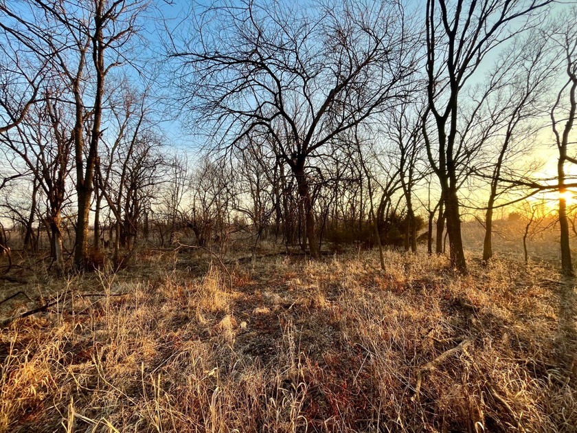 This is sneaky thick hunting property loaded with great habitat - photo 10