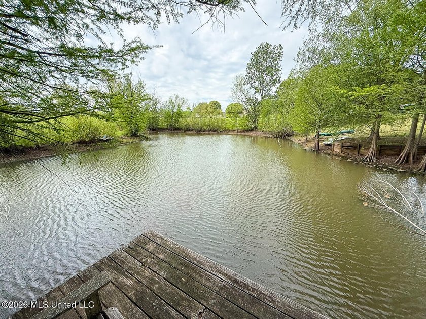 Experience the perfect blend of space, style, and serenity in - photo 47